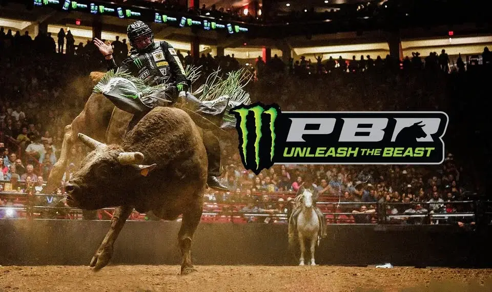 PBR: Unleash the Beast