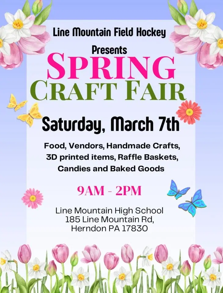 Line Mountain Field Hockey Spring Craft Fair