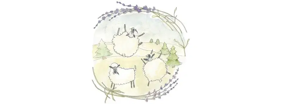 Lavender Festival 2026!