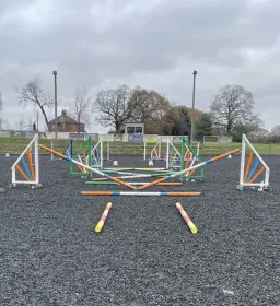 🌟Clear Round / Flat / Pole / Grid Clinic🌟