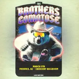 THE BROTHERS COMATOSE