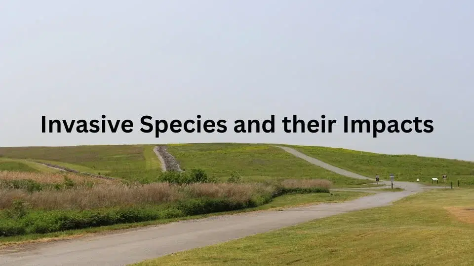 Invasive Species and their Impacts