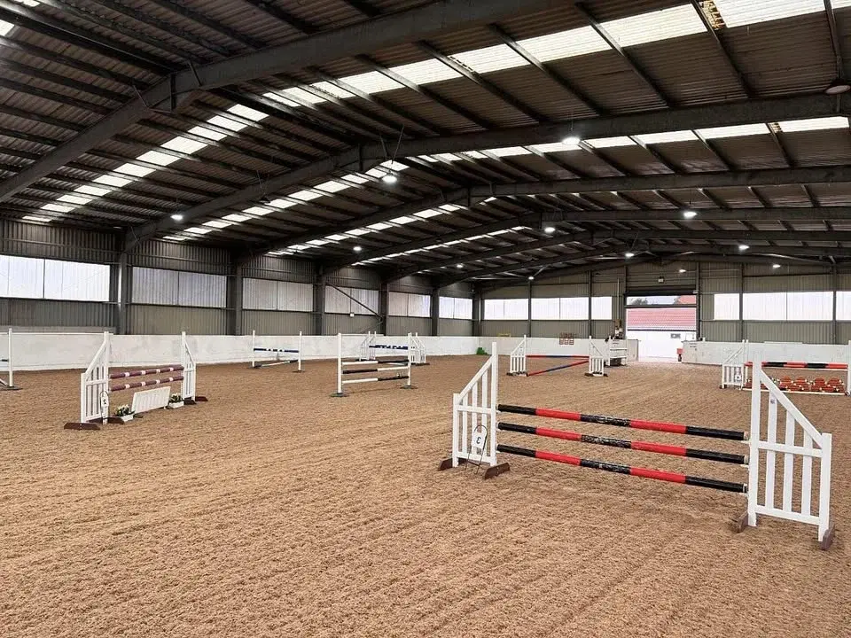 Poles, Gridwork and/ or Showjumping with BS Coach - Victoria Ward