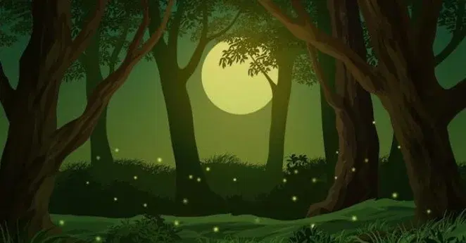 Hot August Night Trail Race