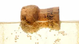 Magiska bubblor & ljuva smaker – Vinprovning & Matlagning