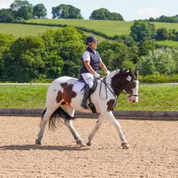 VHPRC Winter Dressage Series 25/26