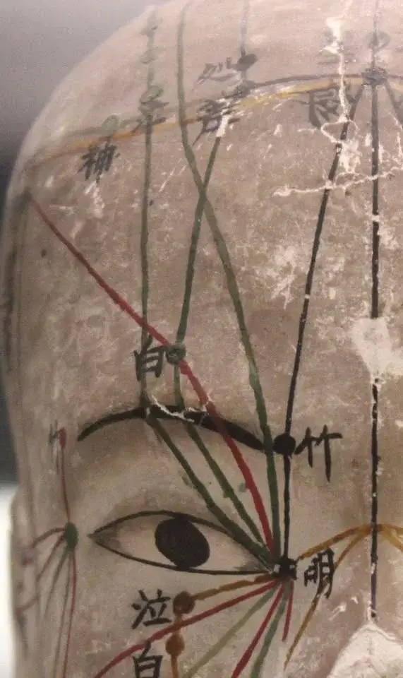 Introduktionskurs över 5 helger i japansk akupunktur Kiiko Matsumoto stil /KMS vår 2025 (helg 2/5)