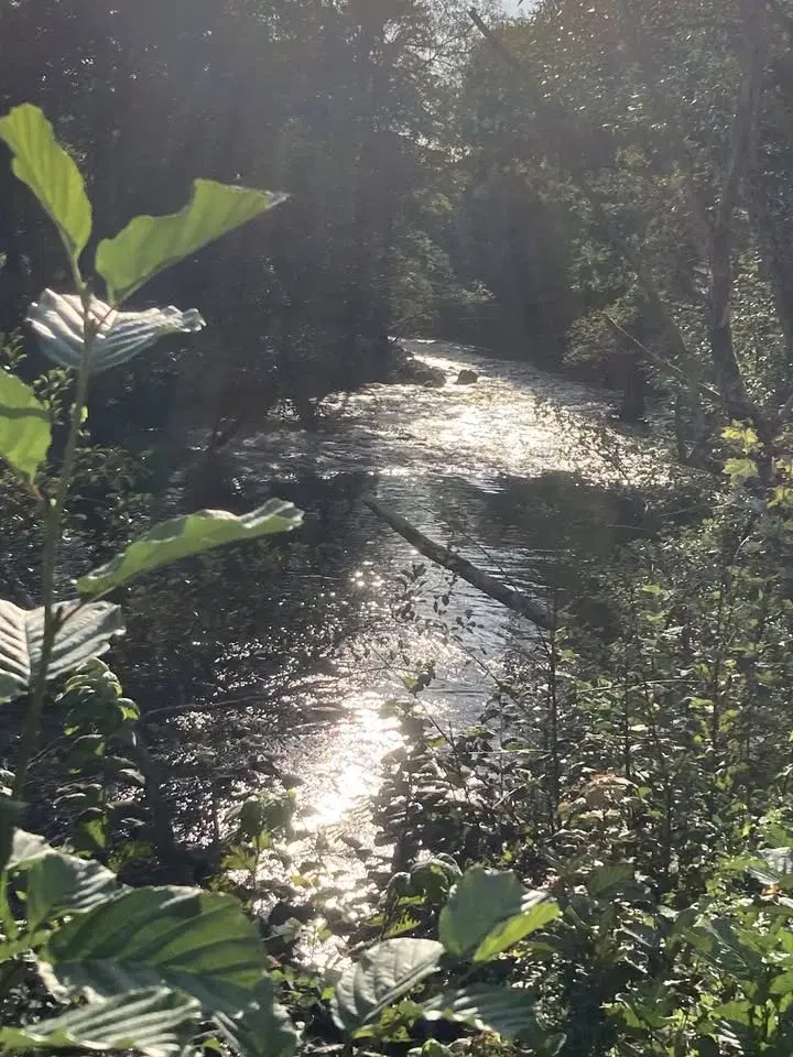 Frigörande gruppandning - Breathwork