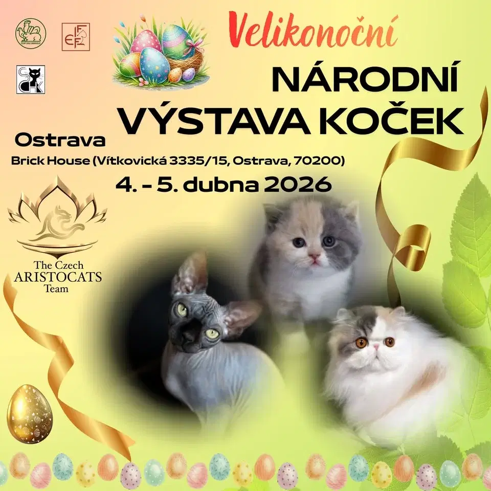 Velikonoční výstava koček - DOV BrickHouse, Ostrava 4.-5.4.2026
