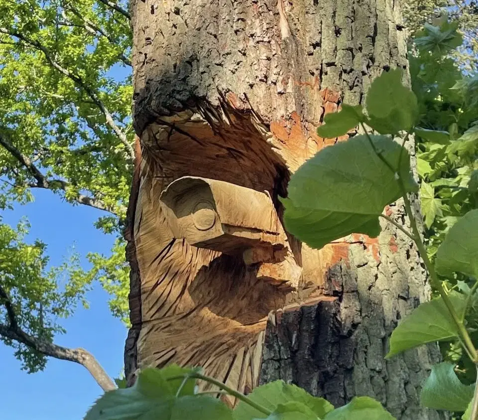 FANZINE RELEASE med Mattias Bäcklin, Björn Norberg och Tobias Barentin Lindbladh