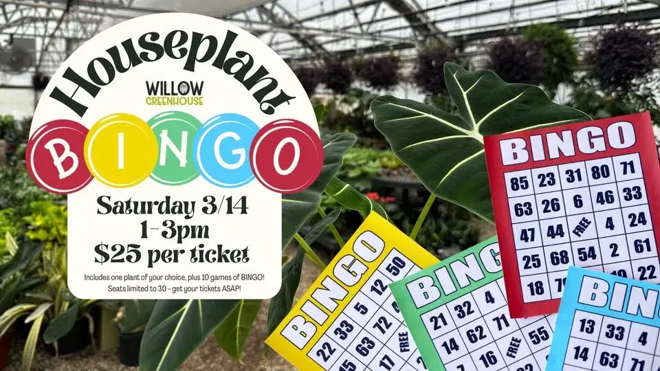 đȘŽ Houseplant BINGO at Willow Greenhouse! đȘŽ