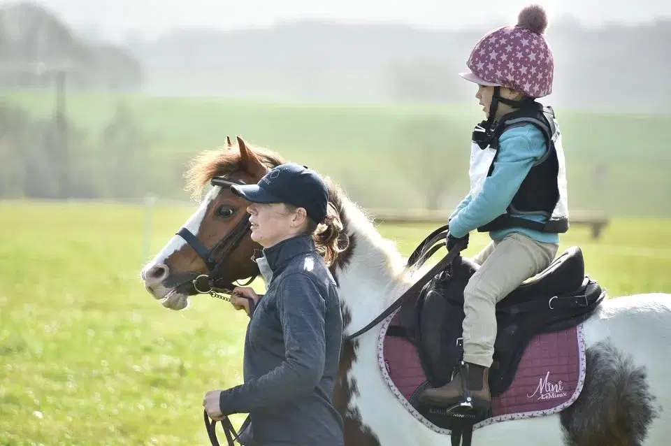 Mini Eventer Challenge - April