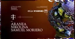 Teletech | Aranea + Nikolina + Samuel Moreiro | Gothenburg