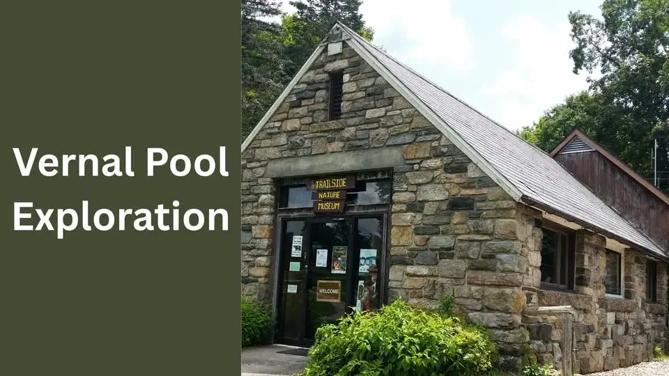 Vernal Pool Exploration