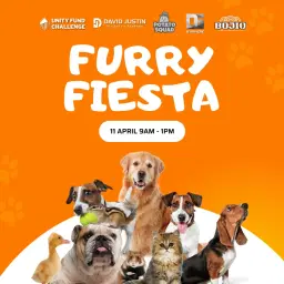 Furry Fiesta