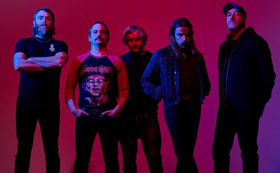 Pigs Pigs Pigs Pigs Pigs Pigs Pigs