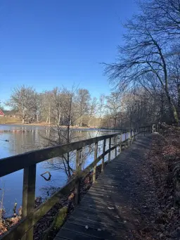 Hundpromenad, Skäralid