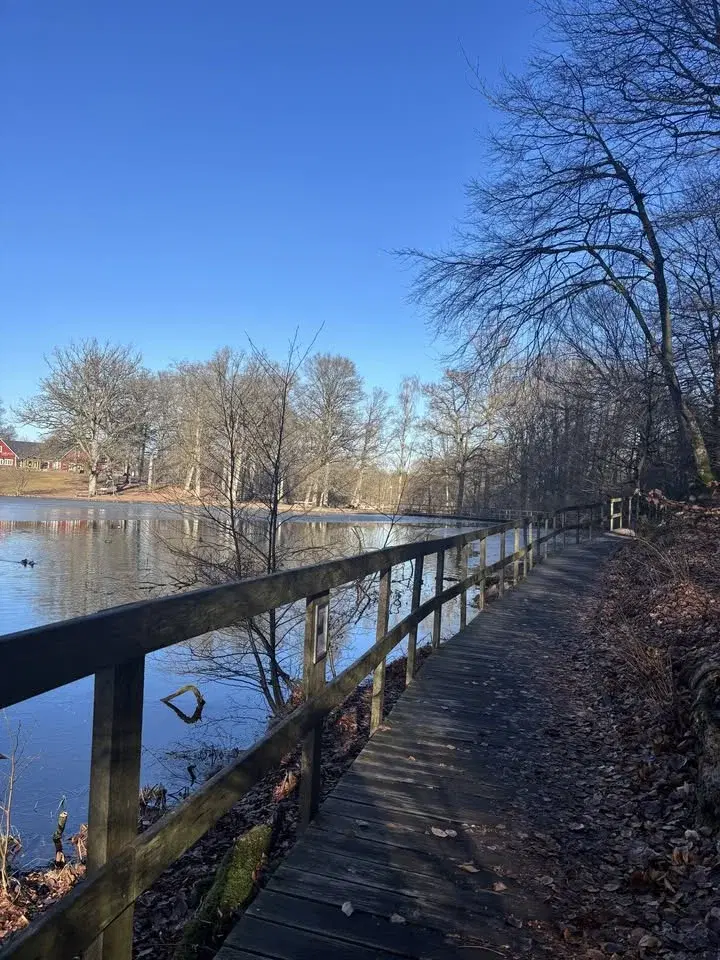 Hundpromenad, Skäralid