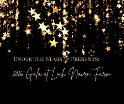 Under the Stars St. Patrick’s Day Gala