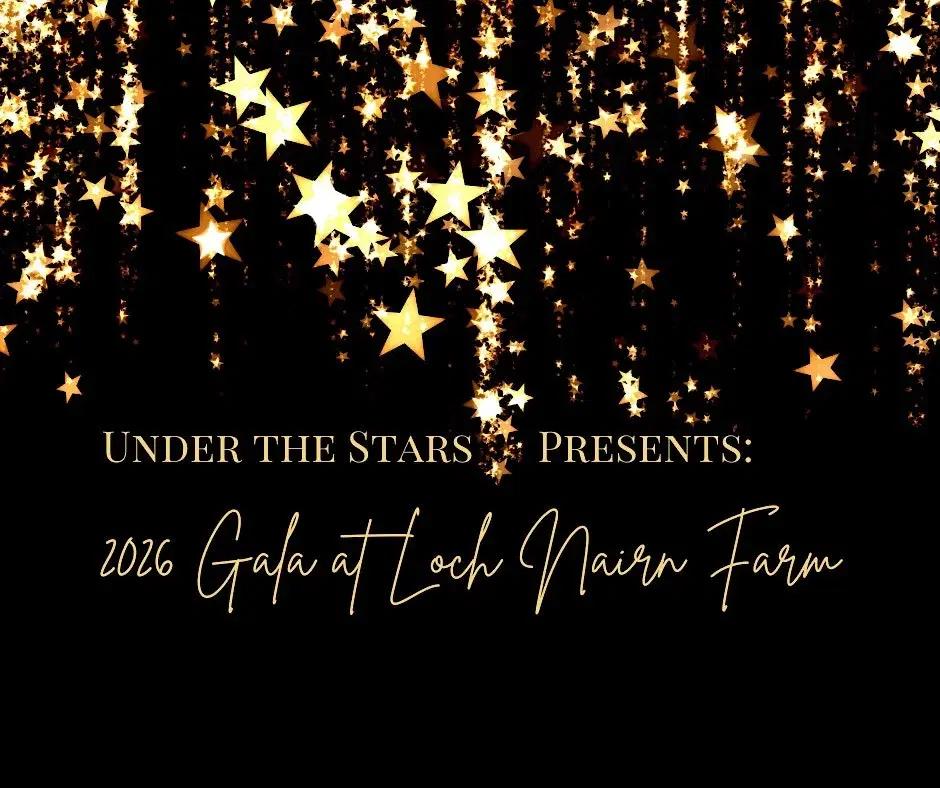 Under the Stars St. Patrick’s Day Gala