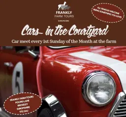 Cars in the Courtyard