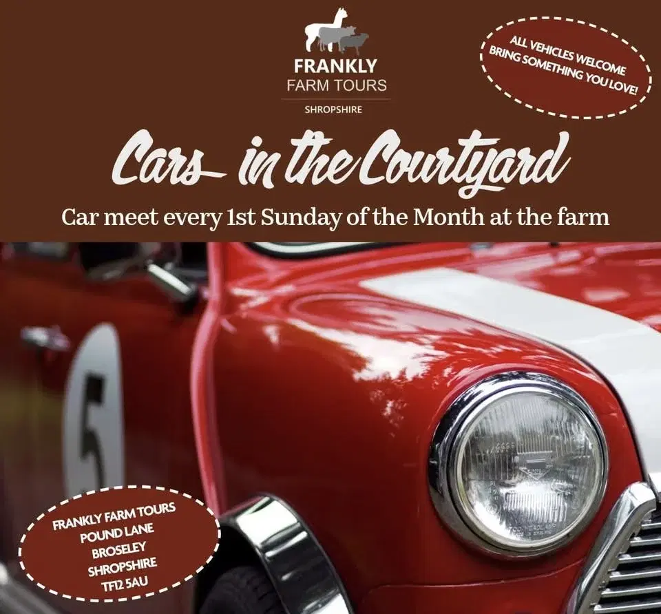 Cars in the Courtyard