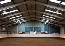 Ladies Day Exton Stud