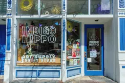 Indigo Hippo Turns 10!
