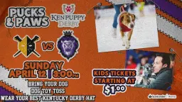 Reading Royals vs. Wheeling Nailers