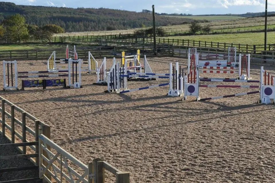 Show Jumping Competition