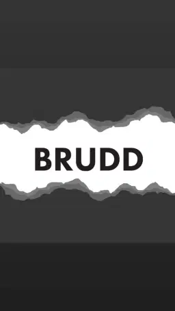 Speilvendt lanserer BRUDD