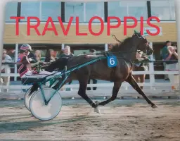 #TRAVLOPPIS