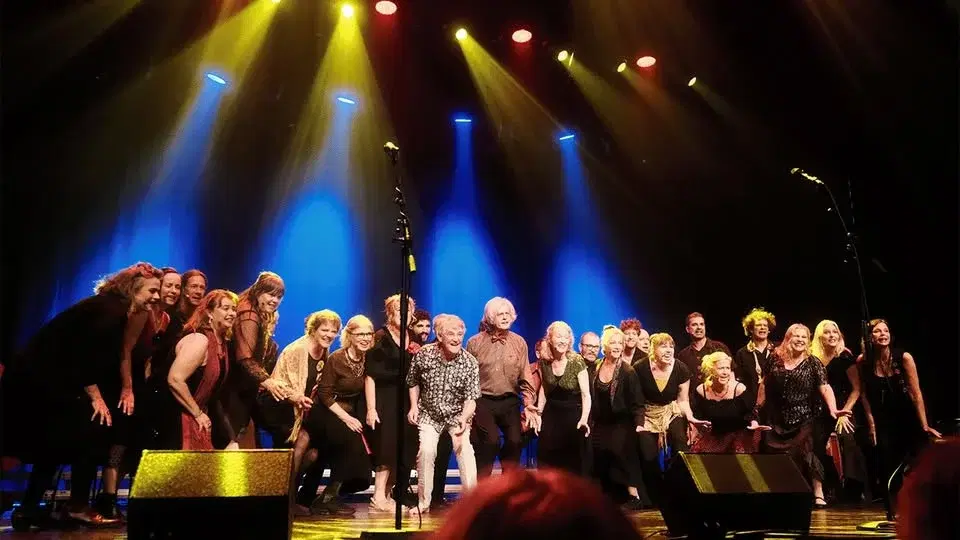 Sångensemblen Amanda / Human Behaviour