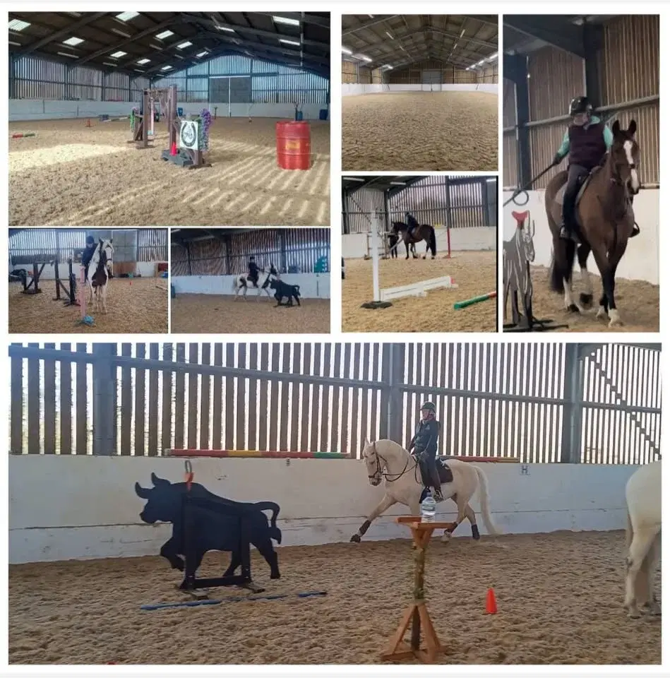 Indoor Working Equitation Lessons feb