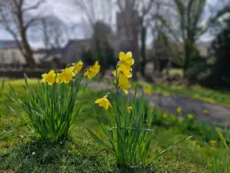 Blaenavon Easter Fair