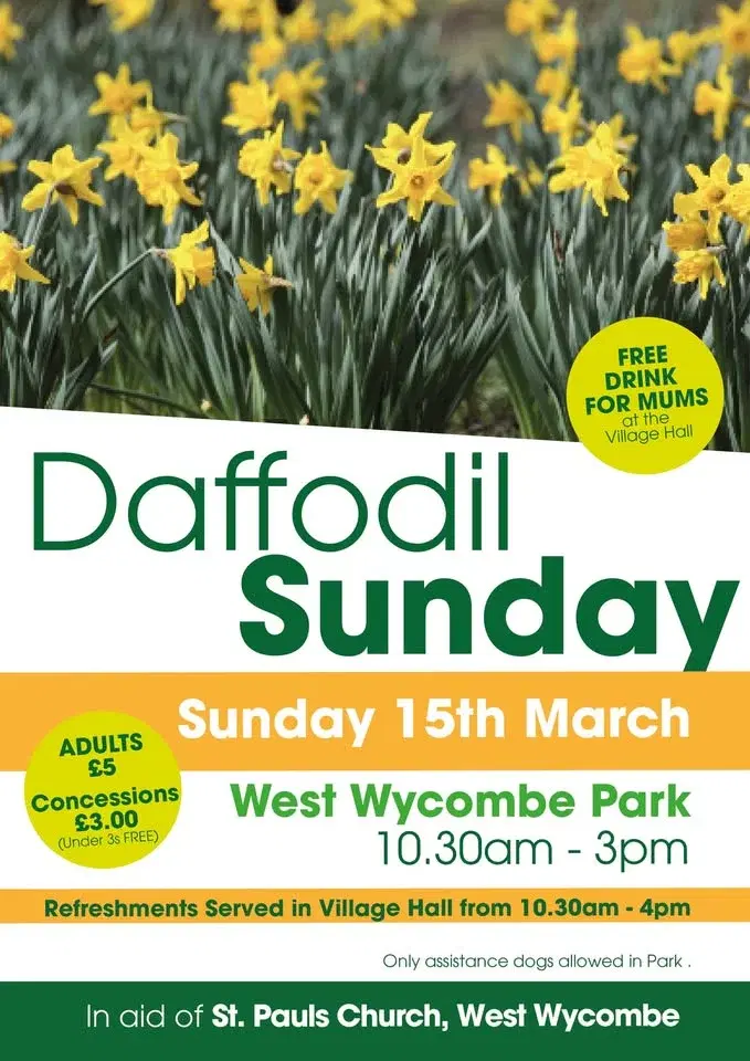 Daffodil Mothering Sunday