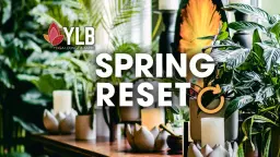 Spring Reset