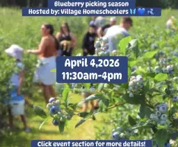 Blueberry picking seasonđ«đđŠ