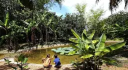 Adventure Day: Spring into Nature