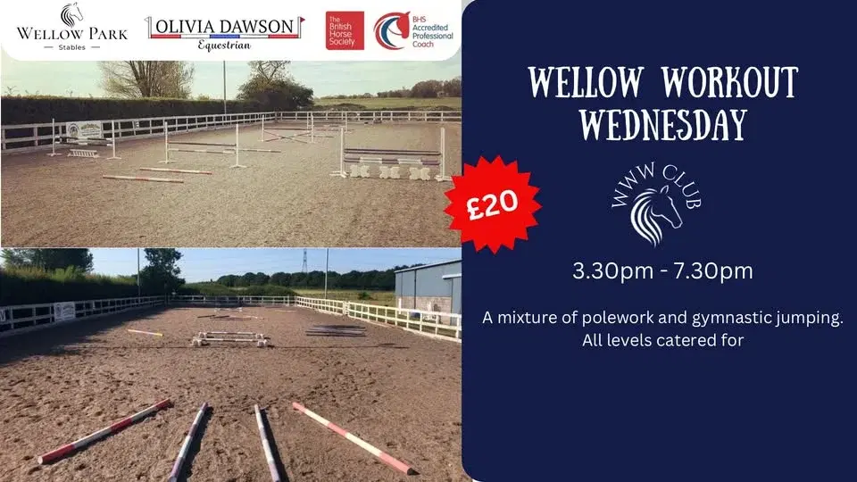 Wellow Workout Wednesday