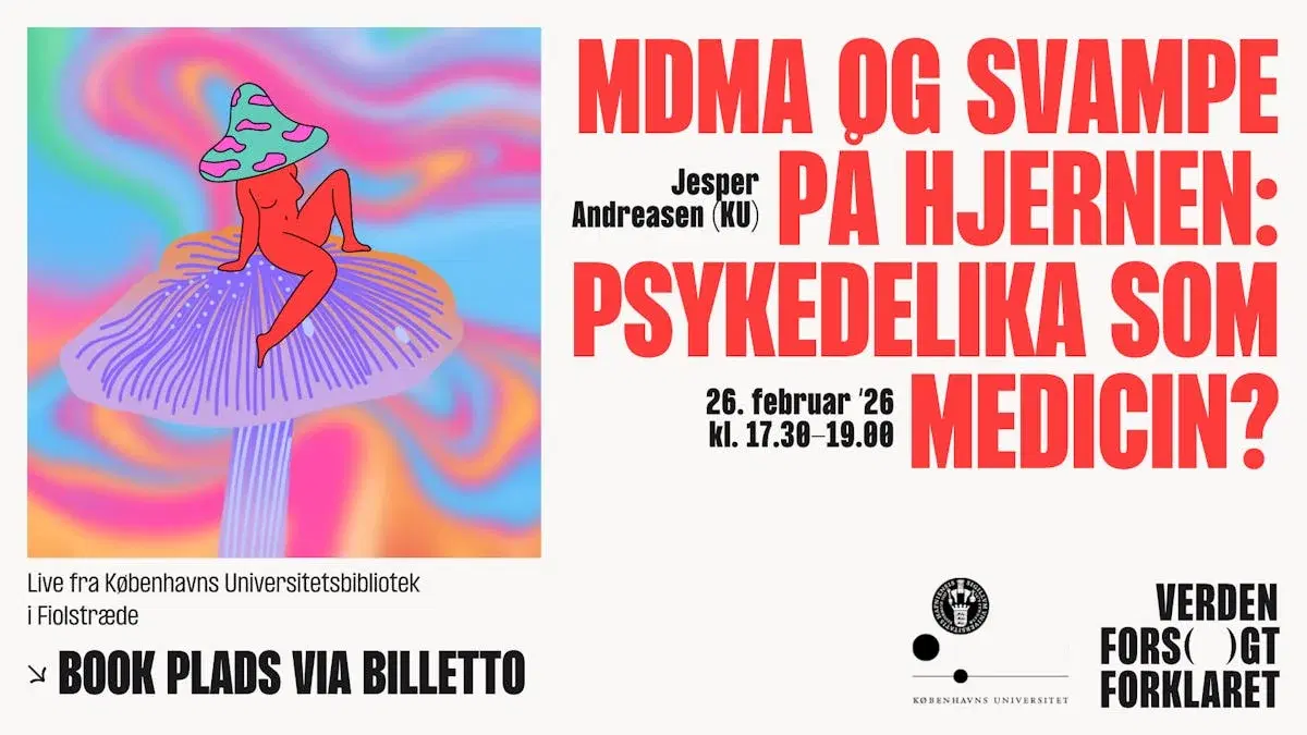 MDMA og svampe på hjernen: Psykedelika som medicin?