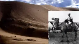 Hanserbio: Sven Hedin och Sidenvägen