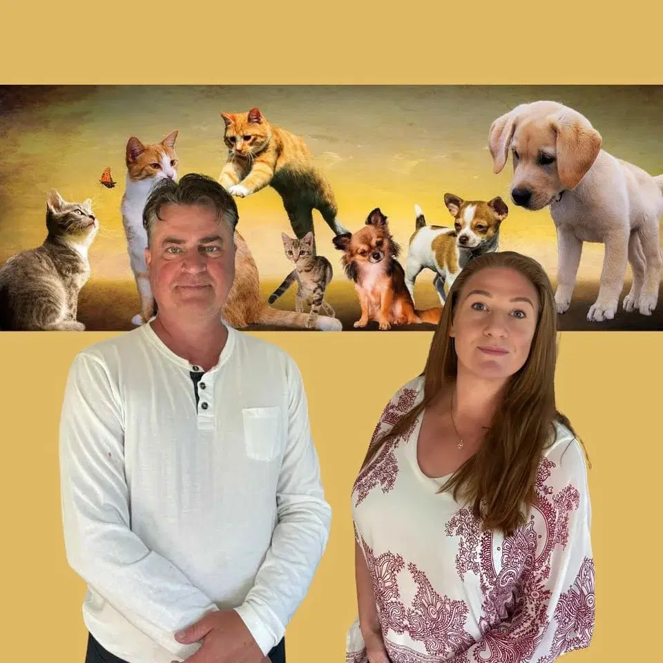 Djurkommunikation - workshop 9 mars