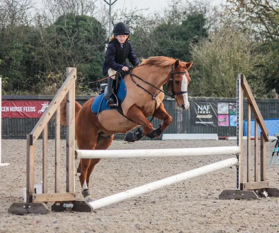 đ UNAFFILIATED SHOWJUMPING & DRESSAGE đ