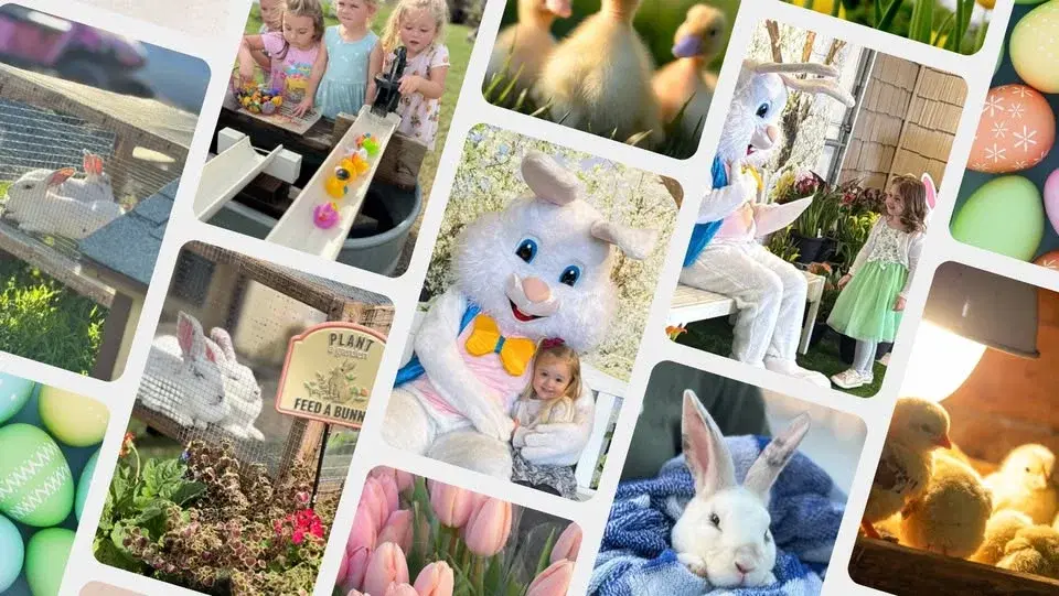 Easter Bunny Fun Day at the Farm