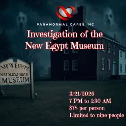 Investigation of the New Egypt Museum