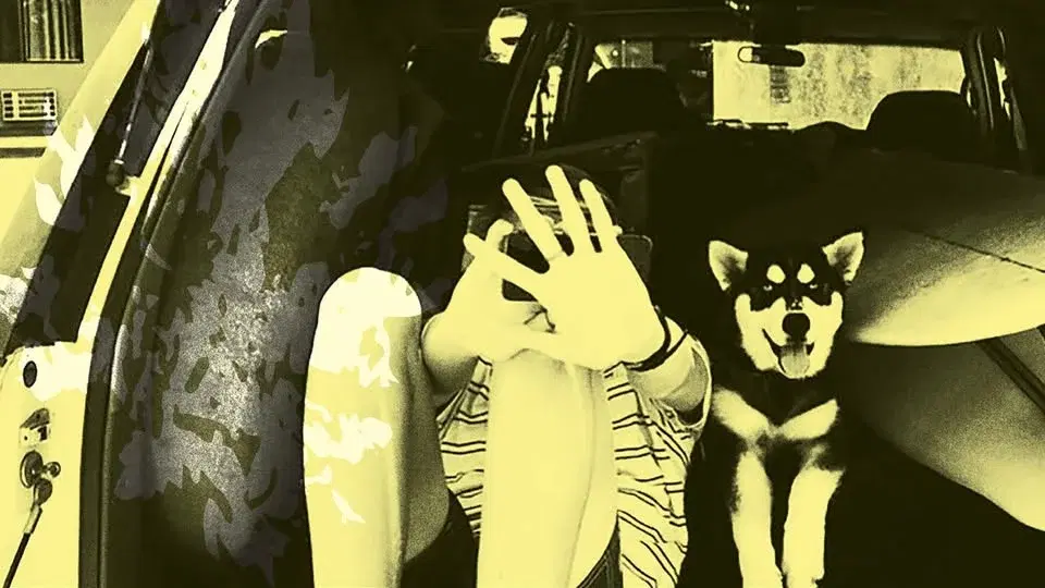 Throwing Muses: Moonlight Concessions