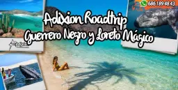 Avistamiento de Ballenas Gris y Loreto Magico.