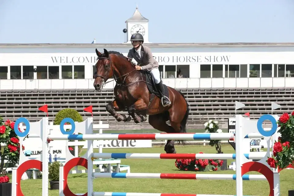 Krisberedskap för häst