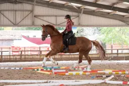 Polework clinic at Moreton Morrell College